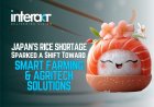 How Japan’s Rice Shortage Sparked a Shift Toward Smart Farming and AgriTech Solutions